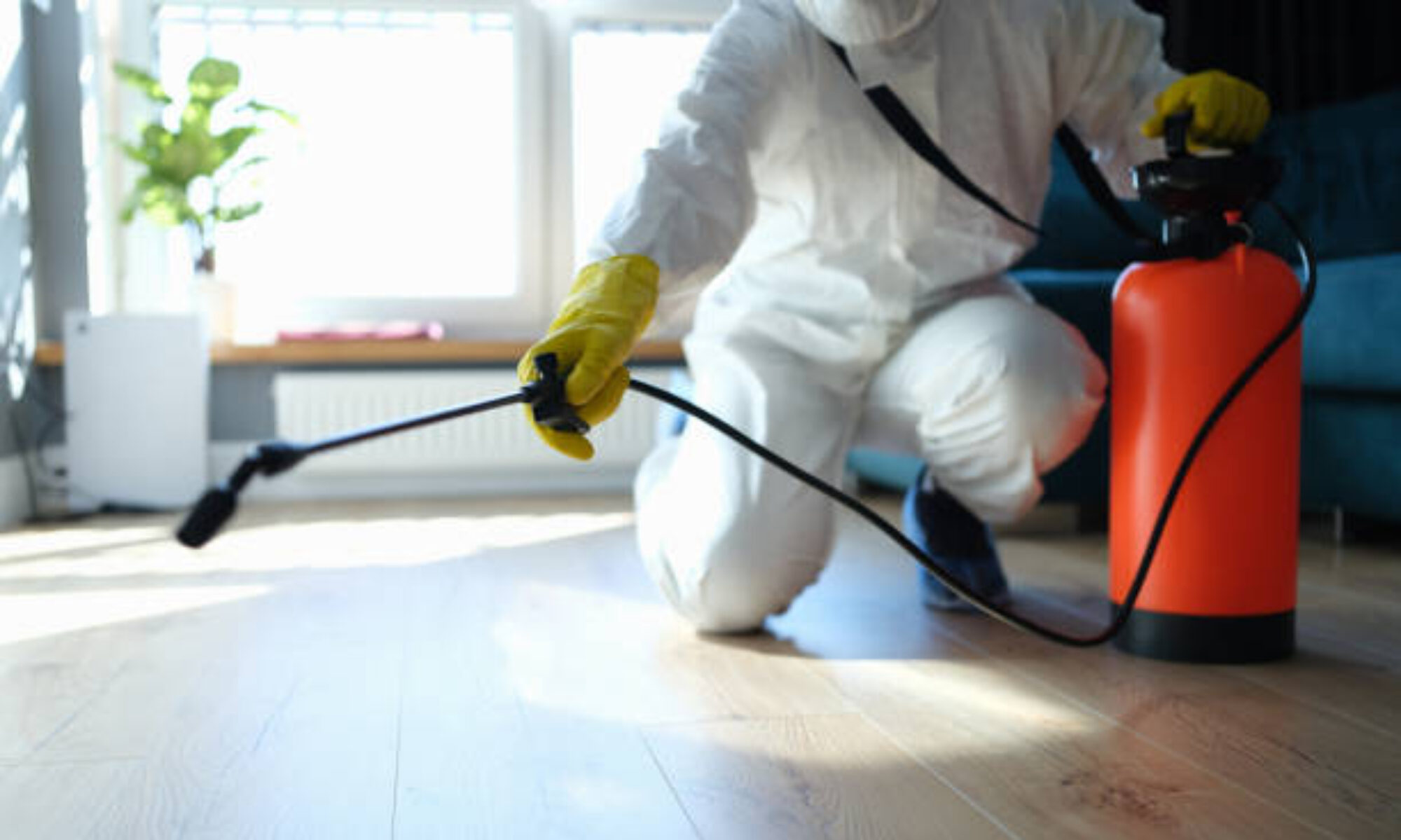 Mayday Pest Control - Home of the Barefoot Guarantee